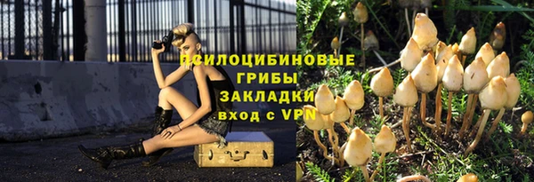 молекула духа Алексеевка