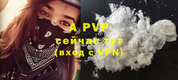 молекула духа Алексеевка