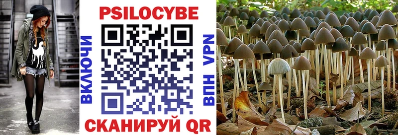 Галлюциногенные грибы Psilocybine cubensis  Лихославль 